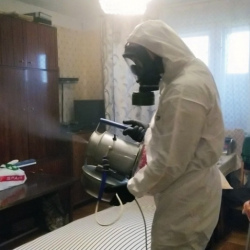 Дезинфекция от клопов в Аргуне