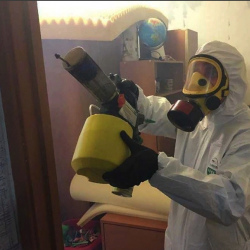 Уничтожение клопов в квартире. Аргун